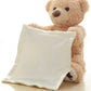 Une peluche Doudou Ours douce et câline de BABY-PREMA tenant une pancarte ou un oreiller blanc et vierge, prête pour un message ou une personnalisation pour un bébé ou un enfant prématuré, sur un fond propre et léger.