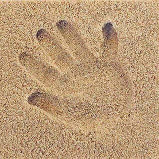 Une empreinte de main est imprimée dans du sable lisse et naturel. L'empreinte montre des doigts et une paume distinctifs, suggérant que quelqu'un a enfoncé sa main dans le sable puis l'a retirée, laissant une marque claire et détaillée. Ce magnifique Souvenir de Sable Avec ou Sans Cadre - Licofun de LICOFUN est parfait pour être encadré dans un cadre en bois comme souvenir.