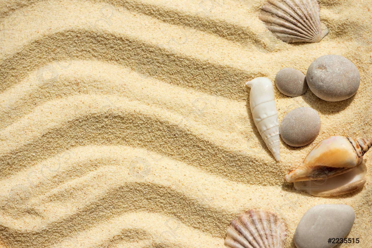 Sable beige lisse avec un motif ondulé, orné de divers coquillages et galets éparpillés un peu partout. L'image, encadrée dans un Sand Souvenir Avec ou Sans Cadre - Licofun, évoque l'atmosphère calme et sereine d'une plage.