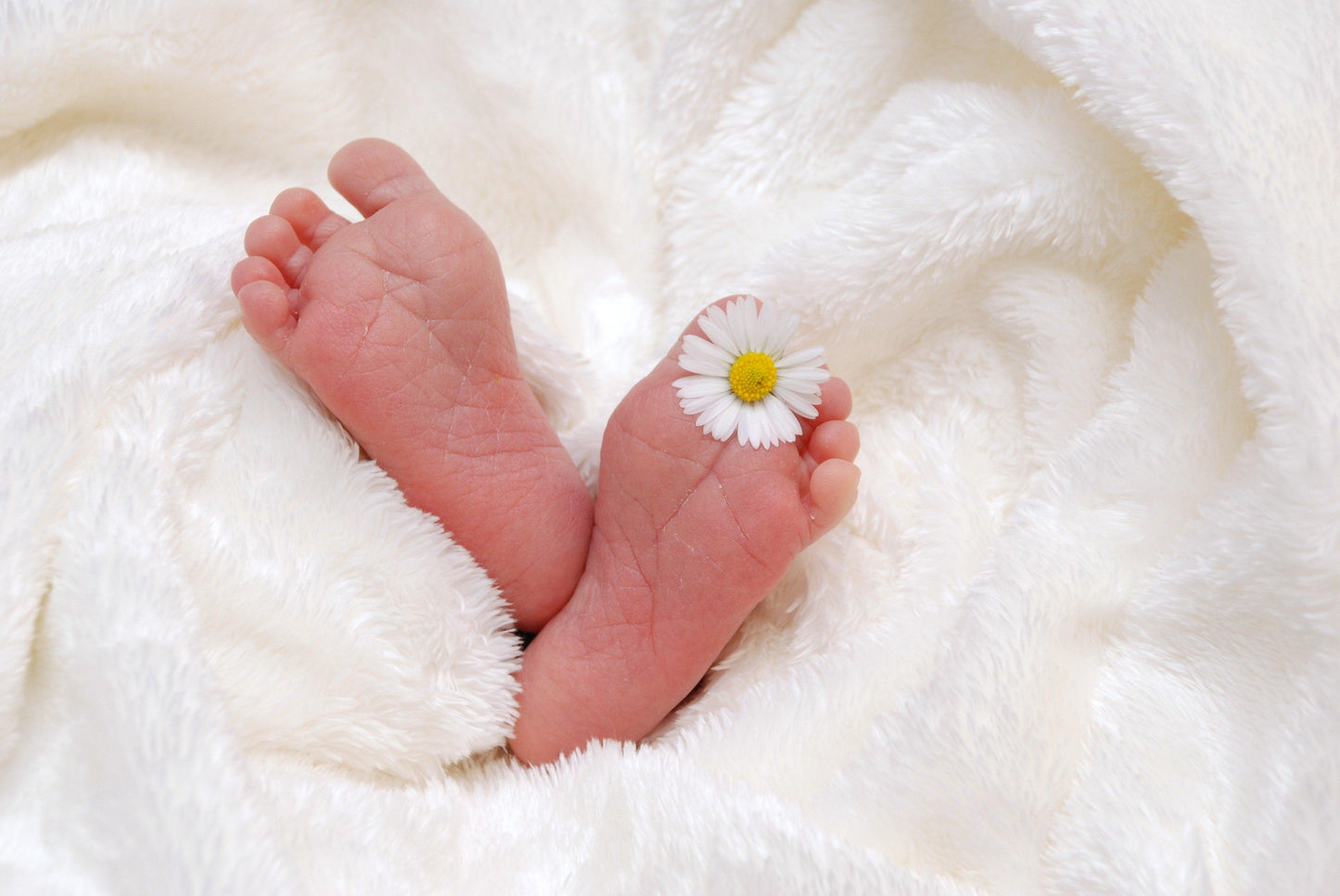 De petits pieds, dont un avec une délicate marguerite, nichés dans une douce couverture blanche : innocence et pureté capturées dans un moment de paix. Une Carte Cadeaux Naissance BABY-PREMA posée à côté d'eux rehausse encore plus la scène sereine.